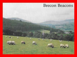 CPSM/gf BRECON (Pays De Galles)  The Beacons  From Bwich *2302 - Breconshire