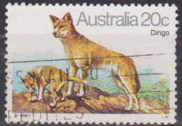 Faune - AUSTRALIE - Dingo, Chien Sauvage - N° 689 - 1980 - Usati