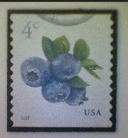 United States, Scott #5653, Used(o), 2022 Definitive, Blueberries, 4¢, Multicolored - Gebraucht