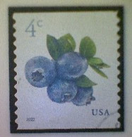 United States, Scott #5653, Used(o), 2022 Definitive, Blueberries, 4¢, Multicolored - Oblitérés