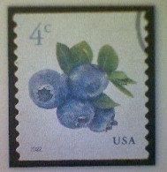 United States, Scott #5653, Used(o), 2022 Definitive, Blueberries, 4¢, Multicolored - Used Stamps