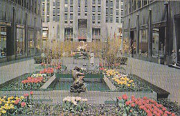 AK 193927 USA - New York City - The Channel Gardens At Rockefeller Center - Parcs & Jardins