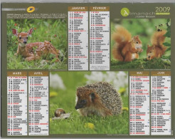 CALENDRIER ANNEE 2009, COMPLET, MUILTIVUE, ANIMAUX DE LA FORETS COULEUR  REF 13868 - Groot Formaat: 2001-...