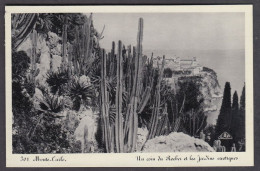 120671/ MONACO, Un Coin Du Rocher Et Les Jardins Exotiques - Exotic Garden