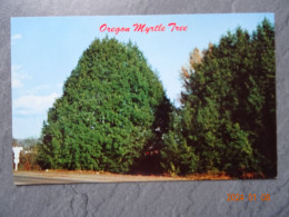 OREGON MYRTLE TREES - Sonstige & Ohne Zuordnung