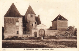 FRANCE - Nérondes - Manoir Du Briou - Carte Postale Ancienne - Nérondes