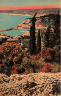 FRANCE - Nice - Vue Générale - Carte Postale - Musées