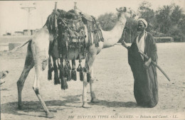 EGYPTE - Bedouin And Camel  - TTB - Persons