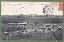 CPA Vue Rare - SEINE ET MARNE - PLESSY PLACY - VUE GÉNÉRALE - Animation, Troupeau De Moutons - Other & Unclassified