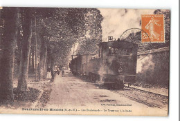 CPA 77 Donnemarie En Montois La Gare Et Le Train Tramway - Donnemarie Dontilly