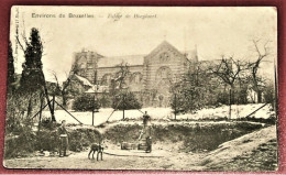 HOEILAART - HOEYLAERT -  De Kerk   -  L' Eglise   -   1903  - - Hoeilaart