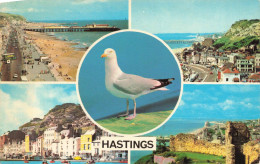 ANGLETERRE - Hastings - View From Marine - Vieux From East - Court - Cliff - The Castle - Carte Postale Ancienne - Hastings