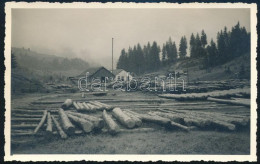 Cca 1940 Romoly (Romuli), Erdély, Fűrésztelep, A Hátoldalon Feliratozott Fotó, 13,5x8,5 Cm - Autres & Non Classés