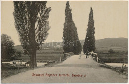 T2/T3 1910 Bajmócfürdő, Bojnické Kúpele (Bajmóc, Bojnice); Bajmóczi út, Híd. Gubits B. (Privigye) Kiadása 567. / Road, B - Non Classificati