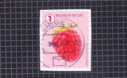 2018 Nr 4807 Gestempeld Op Fragment.Fruit (rolzegels):Grove Tanding. - Used Stamps