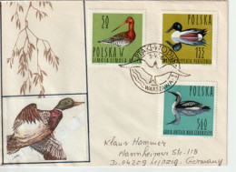 Oiseaux Aquatiques (Mouette Pygmée,héron Cendré,balbuzard,etc)  Sur Lettre Adressée ANDORRA - Seagulls