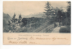 Gruss Aus SEELISBERG Hotel Sonnenberg Gel. 1899 V. Luzern - Seelisberg