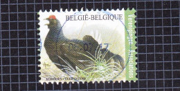 2013 Nr 4305 Gestempeld (zonder Gom).Vogel:Korhoen / Tetras Lyre. - Used Stamps