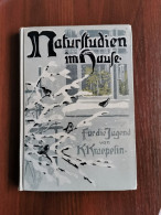 Naturstudien Im Hause - Ein Buch Für Die Jugend Von Damals 1910 - Non Classés