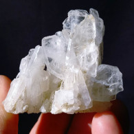 #Q45 QUARTZ à Ame (Faden Quartz) Cristaux (Orelle, Savoie, France) - Minerali