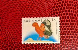 SURINAME 1985 1v Neuf MNH ** Mi 1165 YT 1033 Pájaro Bird Pássaro Vogel Ucello Oiseau SURINAME - Hühnervögel & Fasanen