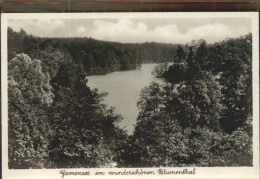 41403812 Tiefensee Bad Freienwalde Gamensee Im Blumenthal Werneuchen - Werneuchen