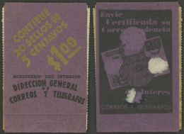 ARGENTINA: Booklet GJ.795A-A3-V, Complete With All Its Inner Panes But Without The Staple, Some Stain Spots And With Sma - Sonstige & Ohne Zuordnung