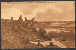 Animals  Animaux - C.P.A. Postmarked 1913 With A Nice Stamp - Seal Rocks Near Cliff House San Francisco California - Dauphins