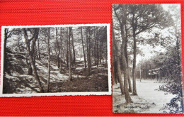 HEIDE - KALMTHOUT   -   4 POSTKAARTEN : Boszicht, Heidezicht, In De Bossen, Zicht Op Water En Duinen - Kalmthout