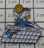 3022  Pin's Pins / Beau Et Rare / THEME : SPORTS / VOLLEY-BALL PETIT COQ TRICOLORE - Volleyball