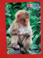 T-204 - JAPAN -JAPON, NIPON, Carte Prepayee  ANIMAL, MONKEY - Jungle