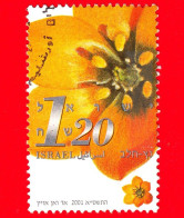 ISRAELE - Usato - 2001 - Fiori Recisi - Ornitogalo - 1.20 - Oblitérés (sans Tabs)