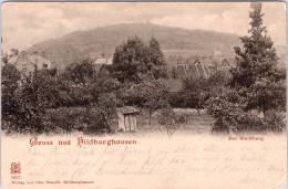 Gruss Aus Hildburghausen , Der Stadtberg (Schöner Stempel "Hildburghausen 1903") - Hildburghausen