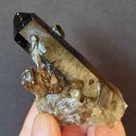 #17 - SPLENDIDO QUARZO MORIONE Cristalli (Kara-Oba W Deposit, Moiynkum, Jambyl Region, Kazakhstan) - Mineralien