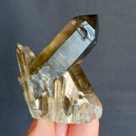 #21 - SPLENDIDO QUARZO MORIONE Cristalli (Kara-Oba W Deposit, Moiynkum, Jambyl Region, Kazakhstan) - Minerals