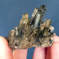 #29 - Beaux Cristaux De QUARTZ MORIONE (Kara-Oba W Deposit, Moiynkum, Jambyl Region, Kazakhstan) - Mineralien