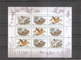 Russie - Oiseaux ( 5641/5643 En Feuille XXX -MNH ) - Full Sheets