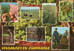 CPSM - VENDANGES EN CHAMPAGNE - MULTIVUES - Champagne-Ardenne
