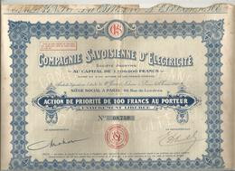 Action  De 100 Francs , COMPAGNIE SAVOISIENNE D'ELETRICITE ,PARIS , Frais Fr 1.95e - Sonstige & Ohne Zuordnung