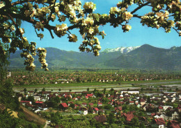 LUSTENAU, ARCHITECTURE, PANORAMA, AUSTRIA, POSTCARD - Lustenau