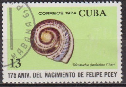 Coquillage - CUBA - N° 1772 - 1974 - Used Stamps