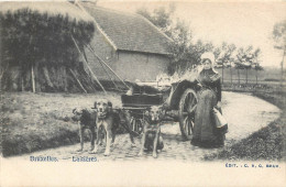 CPAEurope > Belgique > Bruxelles > Petits Métiers Laitières - Voiture à Chiens - Chien Laitière - Old Professions