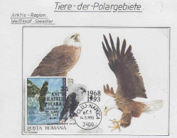 Romania 1993 Weisskopf - Seeadler 1v Maxicard (PD150) - Faune Arctique