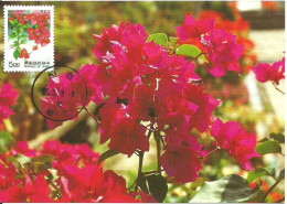 Carte Maximum - Taiwan - Formose - Flores Fleurs - Bougainvillea - Bougainvillea Spectabilis - Cartes-maximum