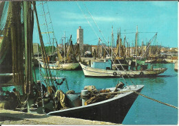 Fano (Pesaro) Darsena E Porto Con Pescherecci, Quais Et Port Avec Bateaux De Pêche, Docks And Harbour With Fishing Boats - Fano