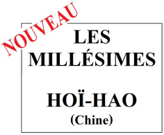 Album De Timbres à Imprimer MILLESIMES Du HOÏ-HAO (Chine) - Other & Unclassified