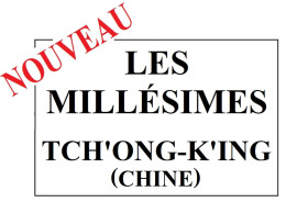 Album De Timbres à Imprimer MILLESIMES Du TCH'ONG-K'ING (Chine) - Other & Unclassified