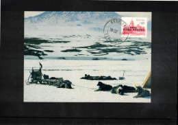 South Africa 1985 Antarctica Wildlife Interesting Postcard - Faune Antarctique