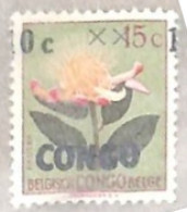 République Du Congo - 383A - Erreur - Surcharge Déplacée - 1960 - Fleurs - Sans Gomme - Neufs