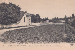 91 / VERRIERES LE BUISSON  / LE CHEMIN DES GATINES / CHAPELLE DE LA CHATAIGNERAIE - Verrieres Le Buisson